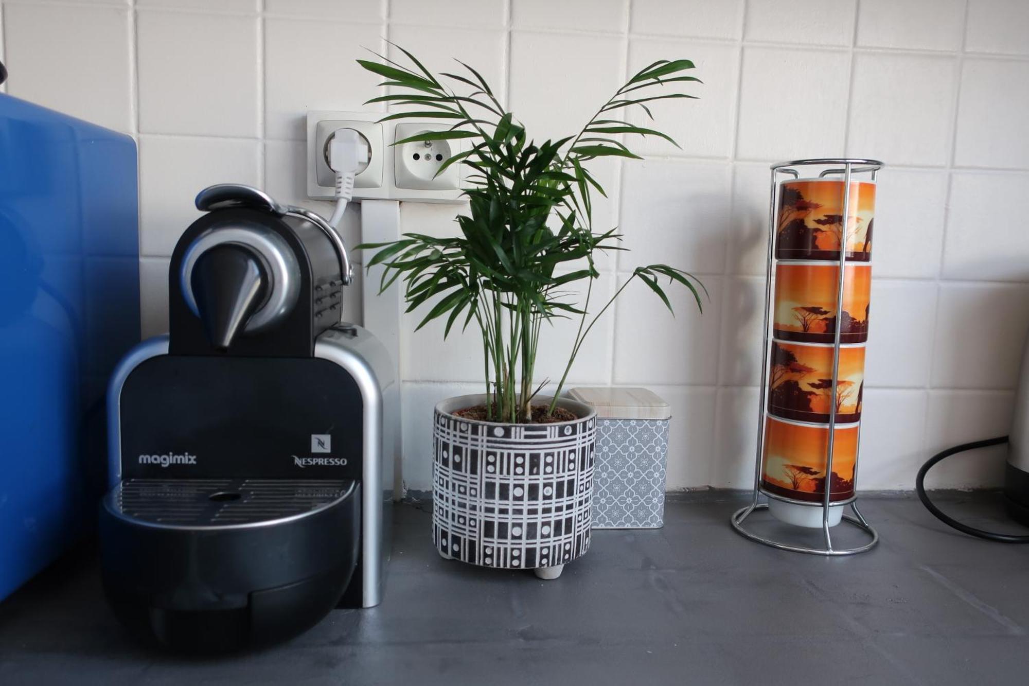 Appartement Avec Jardin Au Coeur De رينز المظهر الخارجي الصورة